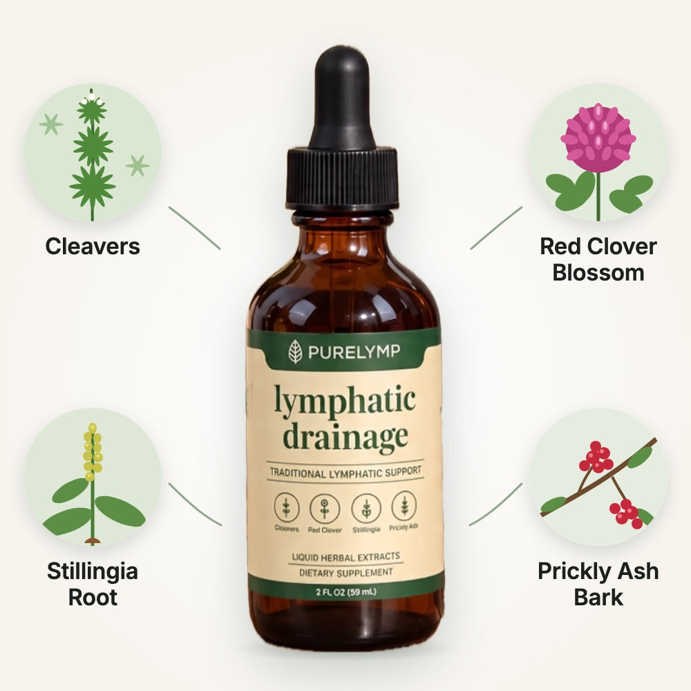 PureLymp Lymphatic Drainage Drops surrounded by its four botanicals: cleavers, red clover blossom, stillingia root and prickly ash bark