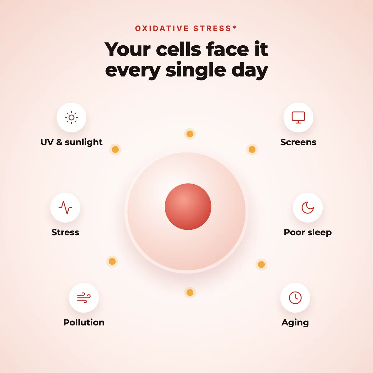 Sunlight, screens, stress, poor sleep, pollution and aging all create oxidative stress in your cells